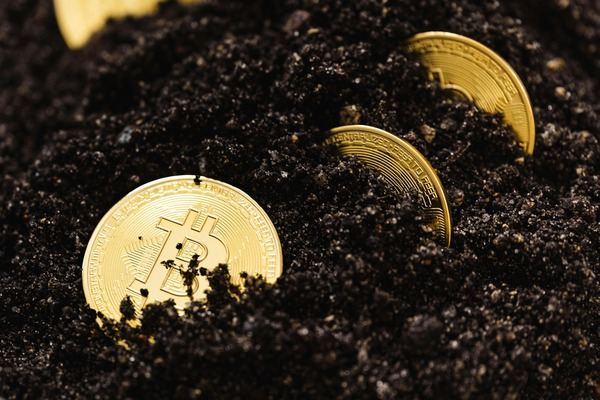 Gold Bitcoin coins half buried in dark soil